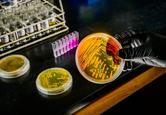 (사진=일리노이대학 어바나-샴페인 홈페이지)