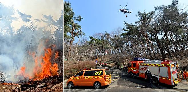 ▲ 12일 오전 수원시 팔달구 옛 경기도청 인근 팔달산에서 방화로 추정되는 화재가 발생한 가운데 소방헬기가 현장에물을 뿌리고 있다./김철빈 기자·경기도소방재난본부