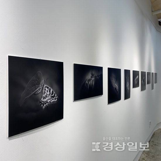 ▲ 이달 28일까지 동구청년센터 마을기록관에서 진행되고 있는 진솔한 작가 개인전 전시 작품들. 동구청 제공