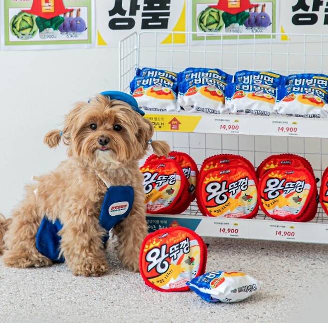 바잇미가 식품기업과 협업해 만든 강아지 라면 장난감. /사진=바잇미 홈페이지 캡처