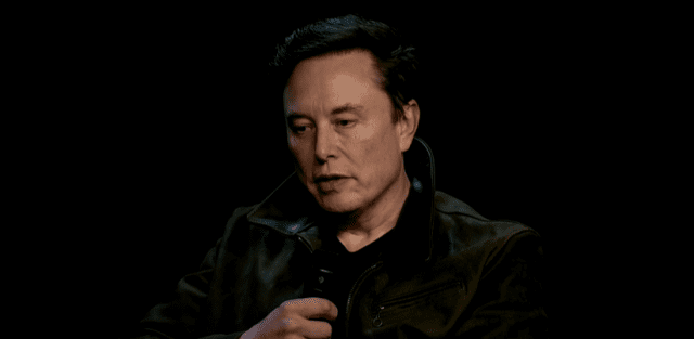 일론 머스크 xAI CEO (사진=xAI 라이브 갈무리)