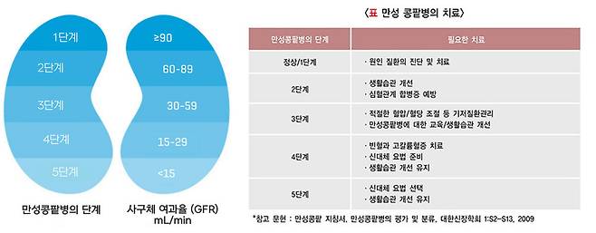 사구체 여과율에 따른 만성콩팥병 단계(왼쪽)와 단계별 필요 치료 지침. 박스터 누리집(왼쪽) 및 질병관리청 국가건강정보포털 갈무리.