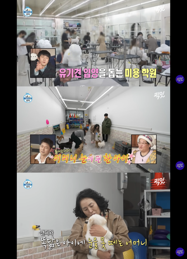 유튜브채널 픽잇 캡처