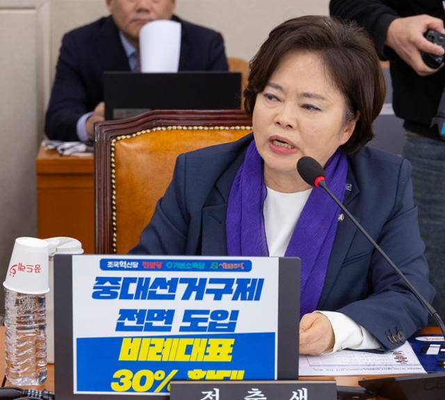 국회 정치개혁특별위원회 비교섭 단체 대표로 참석한 정춘생 조국혁신당 의원이 13일 국회에서 열린 정치개혁특위 전체회의에서 거대 양당 중심의 특위 운영을 항의하고 있다. 연합뉴스