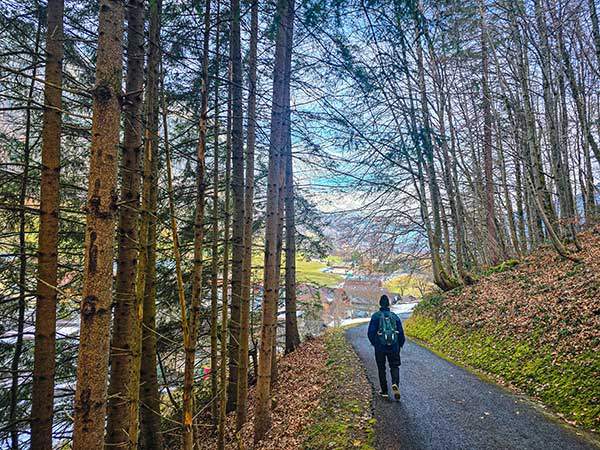 골드스빌 교회 유적지에서 마을로 내려가는 숲길.