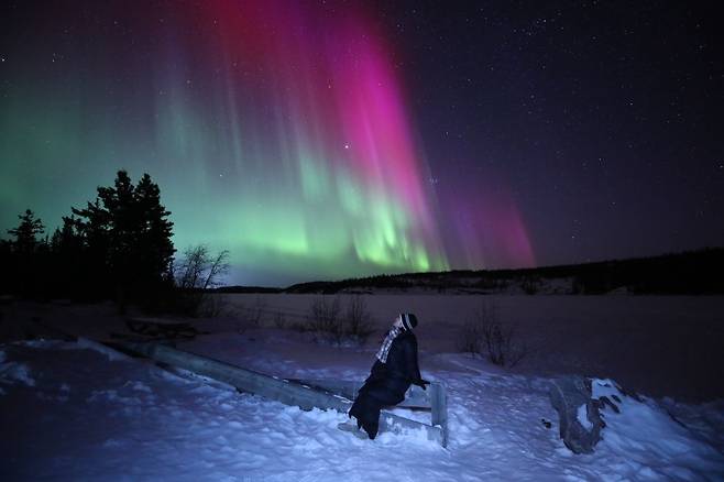 옐로나이프에서 만난 오로라. 투어를 활용하면 가이드가 인생숏을 남겨 준다. 빨간색이나 하얀색을 입어야 사진이 잘 나온다