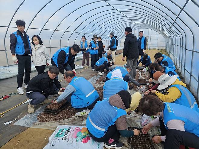 성주읍지역사회보장협의체 옥수수 파종으로 영농사업 시작을 알립니다 . 사진 = 성주군 제공