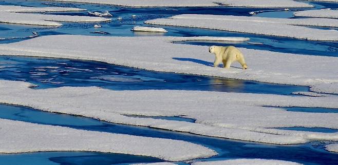 북극 해빙 면적이 40년 위성 관측 역사상 최저 기록을 깰 가능성이 높아지고 있다. (사진 Alia Khan/NSIDC)