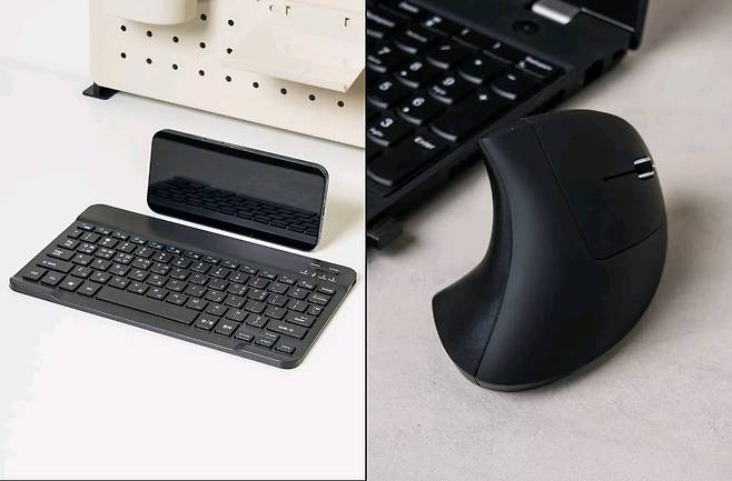 (왼)저소음 블루투스 키보드 (오) 저소음 버티컬 마우스/출처=다이소