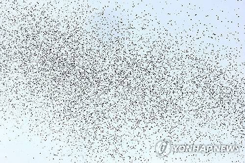 이스라엘군이 베이루트 상공에 살포한 경고 전단. [EPA 연합뉴스]