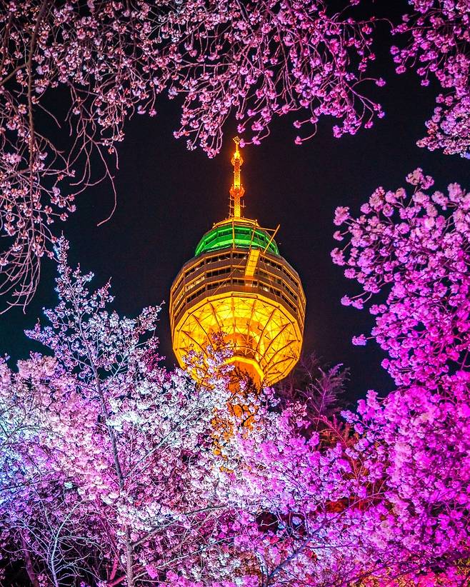 낮과 밤 모두 색다른 분위기 연출 ‘레인보우 블라썸 라이팅’ 이미지. /이월드 제공