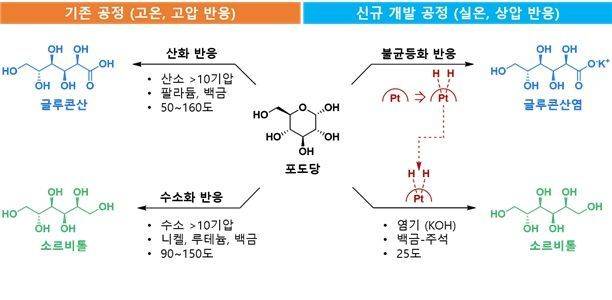 불균등화 반응 활용 글루콘산 및 소르비톨 제조용 신규 친환경 포도당 전환 공정 기술과 기존 기술의 비교. 기존에는 포도당을 산화 또는 수소화 반응으로 각각 전환해야 해 약 100℃ 이상의 고온과 10기압 이상의 고압 가스가 필요해 공정 비용과 환경 부담이 컸다. 연구팀은 외부 수소·산소 공급 없이 실온·상압에서 작동하는 포도당 불균등화 반응을 개발해 반응 과정에서 발생한 수소를 내부적으로 재활용함으로써 글루콘산과 소르비톨을 동시에 생산했으며, 이 기술은 갈락토스·만노스·자일로스 등 다양한 당류에도 적용 가능한 친환경 공정으로 확장될 수 있다. 연구팀 제공