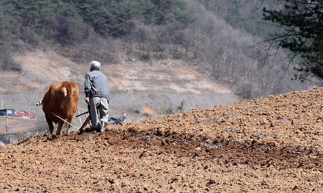 해당 기사 내용과는 무관함. 기사 이해를 돕기 위한 사진임. [사진=연합뉴스]