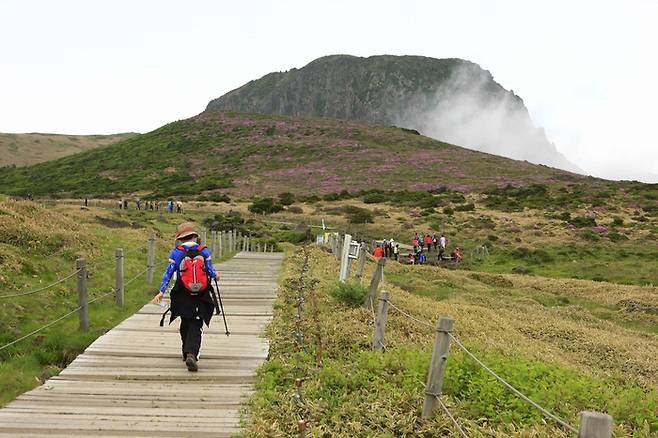 제주 한라산 / 사진 = 한국관광공사