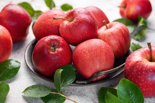 사과의 항산화 성분인 우르솔산과 케세틴은 대부분 껍질에 분포되어 있다. 게티이미지뱅크