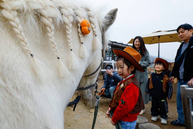 15일 경기 과천시 렛츠런파크 서울에서 열린 ‘2026 포니랜드 포니 체험’에서 어린이들이 포니랑 놀기 체험을 하고 있다.