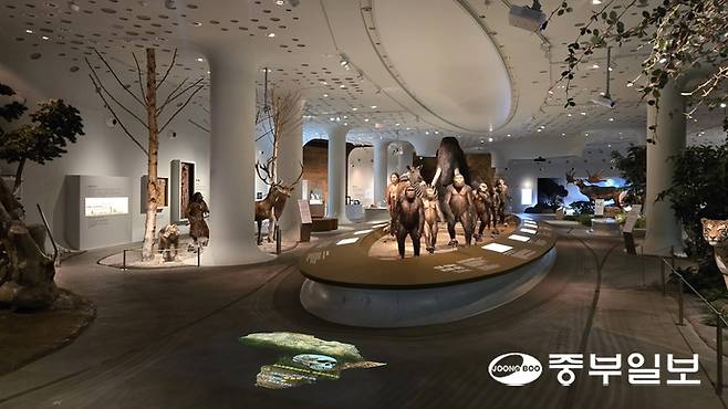 전면 개편을 마친 전곡선사박물관 상설전시실 전경. 임창희기자