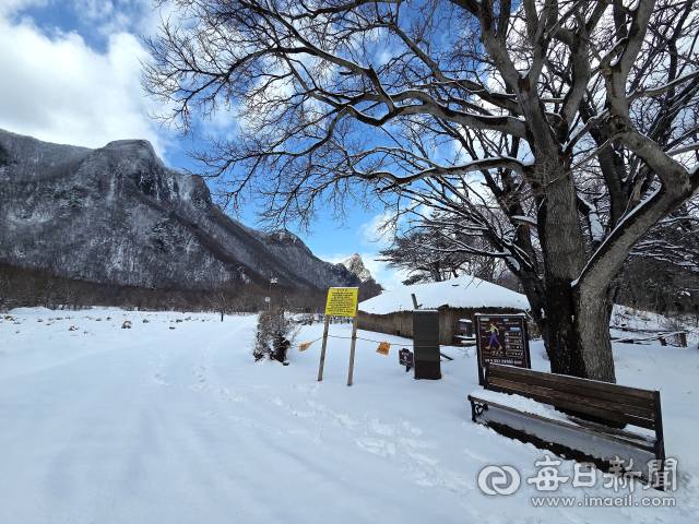 울릉도 북면 나리분지에서 신령수 가는 길.조준호 기자