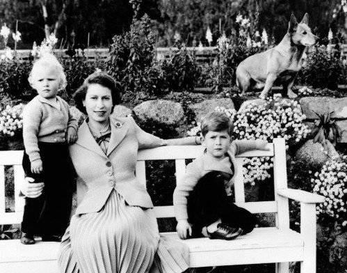 사진=버킹엄궁 엑스(X·옛 트위터)