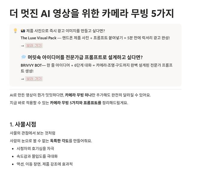 BRIVVY 스튜디오를 운영하고 있는 박건우 대표는 광고 이미지를 손쉽게 만들 수 있는 프롬프트 템플릿, AI 비주얼 콘텐츠 제작을 지원하는 ‘챗봇’을 제작해 판매한다.