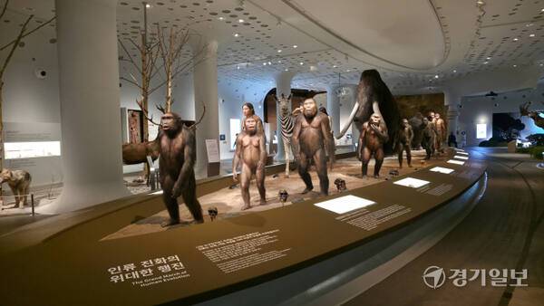 전곡선사박물관 상설전시실 구석기 코너를 전면 개편한 모습. 이나경기자