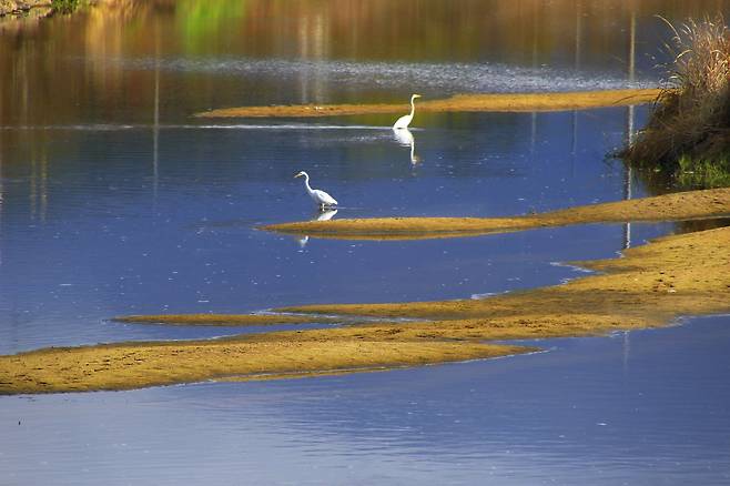 ‘여행가는 봄’ 공공 캠페인 기간인 4~5월 인구감소지역에 여행가면 파격 혜택을 받는다. 사진은 고창 람사르습지