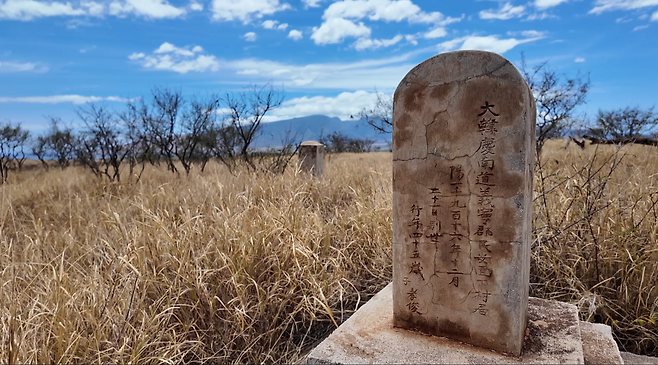 하와이 현지에서 발견된 의령 출신 독립운동가 조기연 선생의 묘비가 잡풀 속에 방치돼 있다. 거액의 독립자금을 기탁하며 헌신했으나 관리의 손길이 끊긴 상태다. [국립창원대 제공]