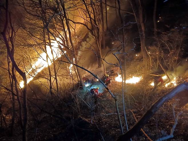 지난달 23일 새벽 진화 작업 중인 경남 함양군 마천면에서 산불 현장. [연합]