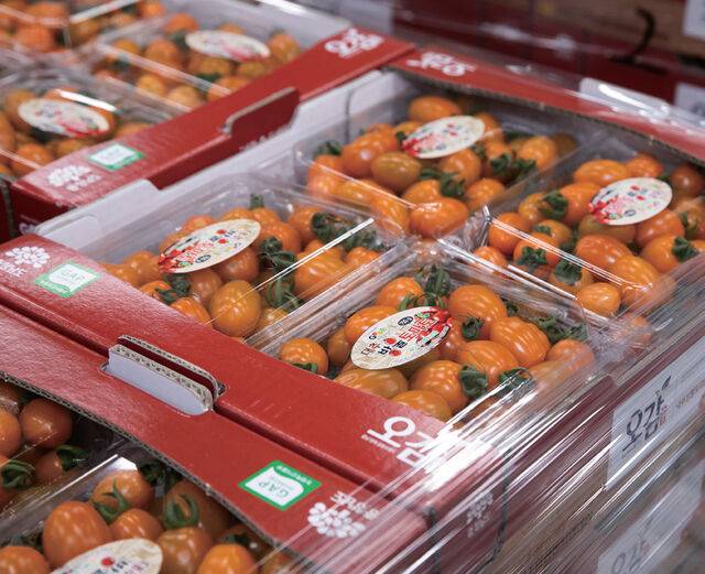 대추형 방울토마토는 전체 물량의 약 45%를 온라인 시장으로 출하한다.