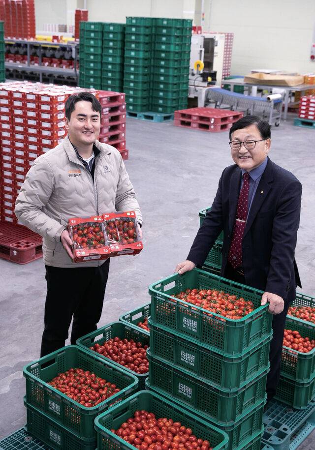 대추형 방울토마토 공선 현장에서 만난 김경식 부여군조공법인 대표(오른쪽)와 강석규 세도농협 농산물산지유통센터 계장.