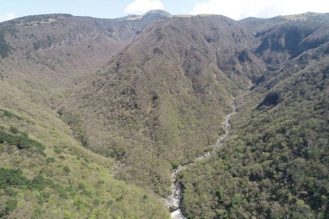 제주 한라산 어리목계곡 국가유산청 제공