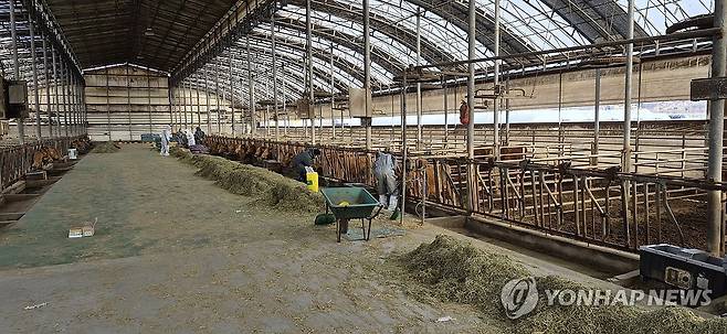 고양시 한우 농가서 두 번째 구제역 발생 (고양=연합뉴스) 27일 오전 경기도 고양시의 한 한우 농가에서 구제역이 발생해 방역 당국이 현장을 살펴 보고 있다. 지난 19일에 이어 고양시에서 두 번째 발생한 구제역이며, 이번 농가는 첫 번째 구제역 발생 농가로부터 반경 500m 이내에 있다. 2026.2.27 [고양시 제공. 재판매 및 DB 금지] andphotodo@yna.co.kr