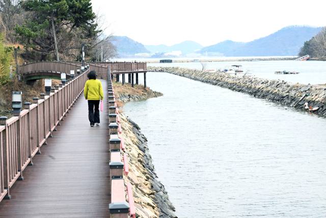창원시 마산합포구 가포수변공원에서 한 시민이 산책하고 있다./김승권 기자/
