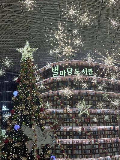 사진= 김호이 기자