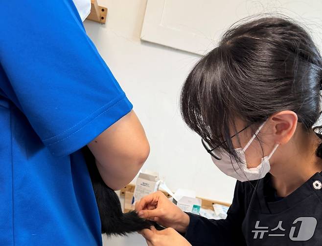 코벳과 SKY동물메디컬센터는 8일 나비야사랑해 보호소에서 봉사활동을 실시했다(코벳 제공). ⓒ 뉴스1