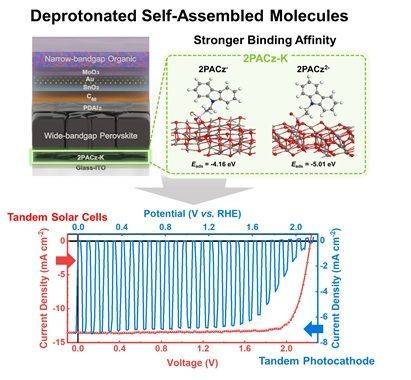 탈양성자화된 자가조립 단분자막(SAM)이 적용된 페로브스카이트 유기 탠덤 태양전지와 광음극 소자 성능. 연구팀 제공