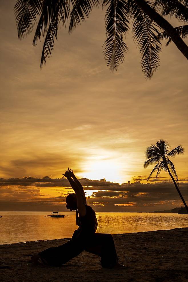 사우스 팜 웰니스 프로그램 중 하나인 선라이즈 요가