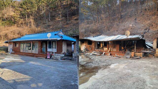 배순자(가명)씨 집의 산불이 덮치기 전(왼쪽)과 후(오른쪽) 모습. 경북 영덕군 지품면에 위치한 배씨의 집은 지난해 발생한 대규모 산불로 전소 피해를 입었다. 유족 제공