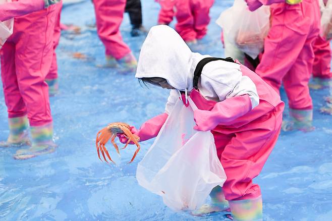 2025년 제28회 영덕대게축제 어린이 게판 체험 프로그램. 영덕군 제공