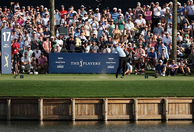 우승자 캐머런 영이 플레이어스 챔피언십 최종 라운드 17번 홀에서 티샷을 하고 있다. AFP연합뉴스