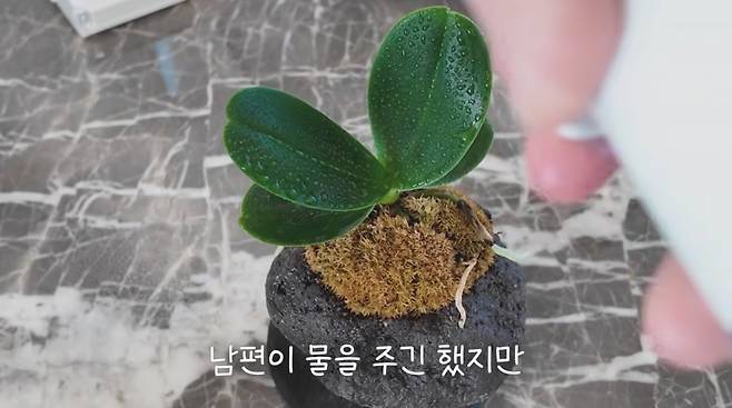 사진=오연수 유튜브
