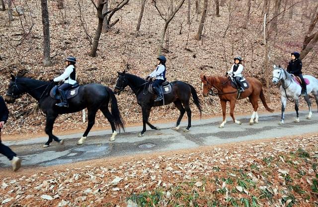 ▲ 승마프로그램 진행 모습.