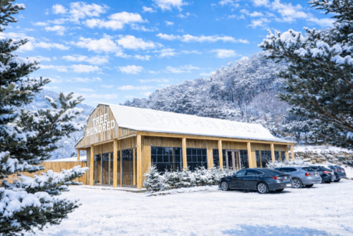 카페 ‘트리 헌드레드’