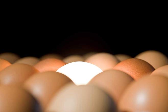 불안과 스트레스가 일상 생활에 지장을 준다면 콜린이 함유된 음식을 먹는 게 도움이 된다. /클립아트코리아