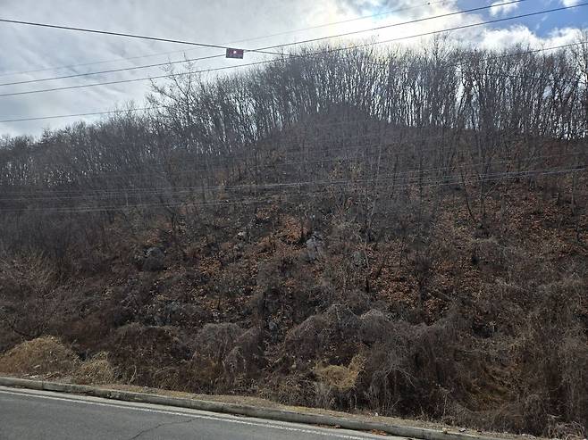 경북 안동시 임동면 박곡리 일대 전경. 지난해 대형 산불 당시 불에 탄 나무로 산이 새까맣게 물들어 있다. 안동=김지훈 기자.
