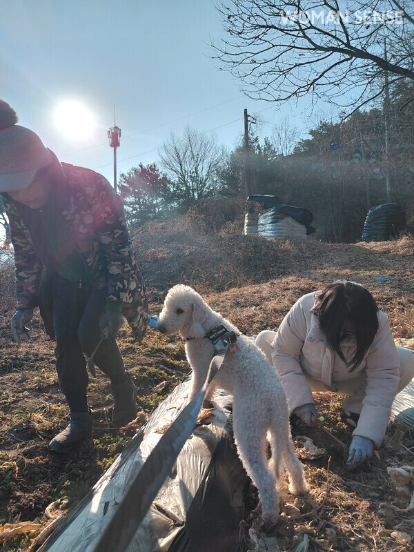 사진=순이네흙집 제공