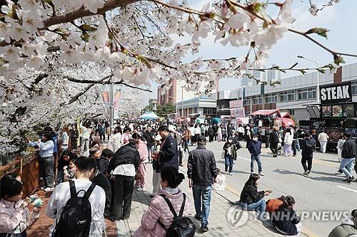 청주 무심천 벚꽃 축제를 보러온 시민들의 모습 [연합뉴스 자료사진]