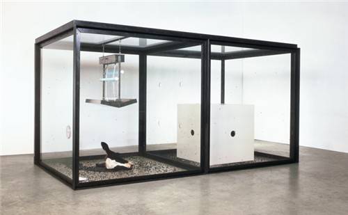 데이미언 허스트 작 '천 년' [국립현대미술관 제공. 재판매 및 DB 금지]