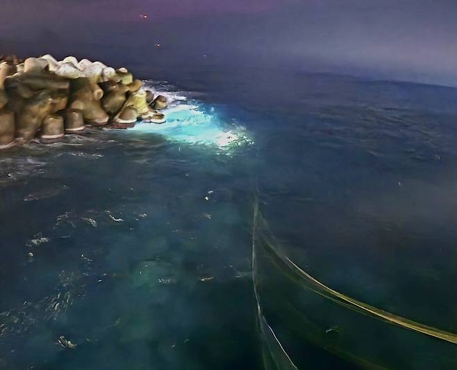 ‘야간 서치라이트 아래, 파도 헤치면서 실종자 찾는 수중 드론’ 이 60대 여성이 실종된 울릉 천부 해중전망대 인근에서 19일 야간 수색을 하고 있다. /황진영 기자