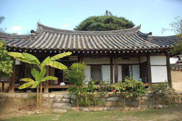 여느 양반집과 달리 소박한 성주 한개마을 교리댁 사랑채에는 성균관에서 가져온 풀들의 왕이라 불리는 초왕(草王) 파초가 자라고 있다.
